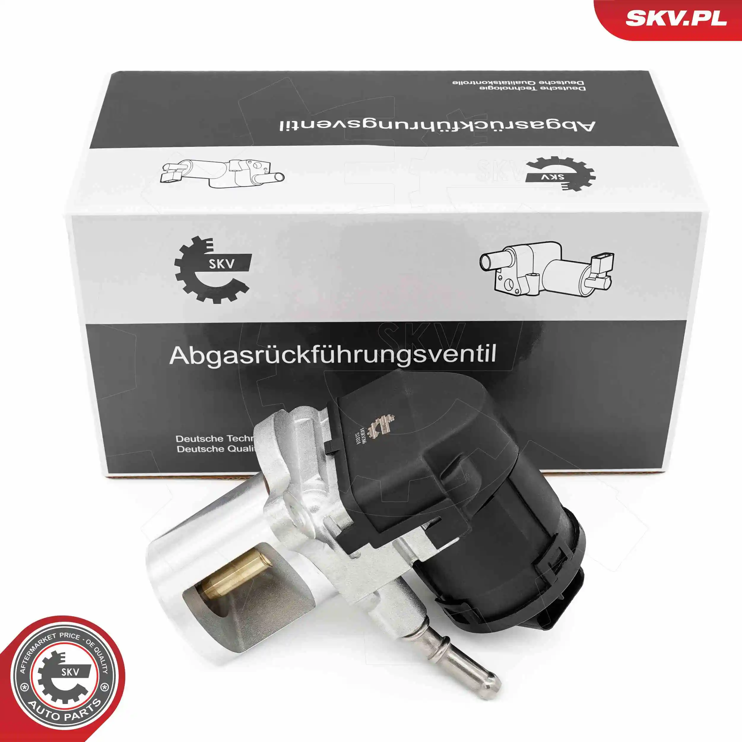 EGR Valve